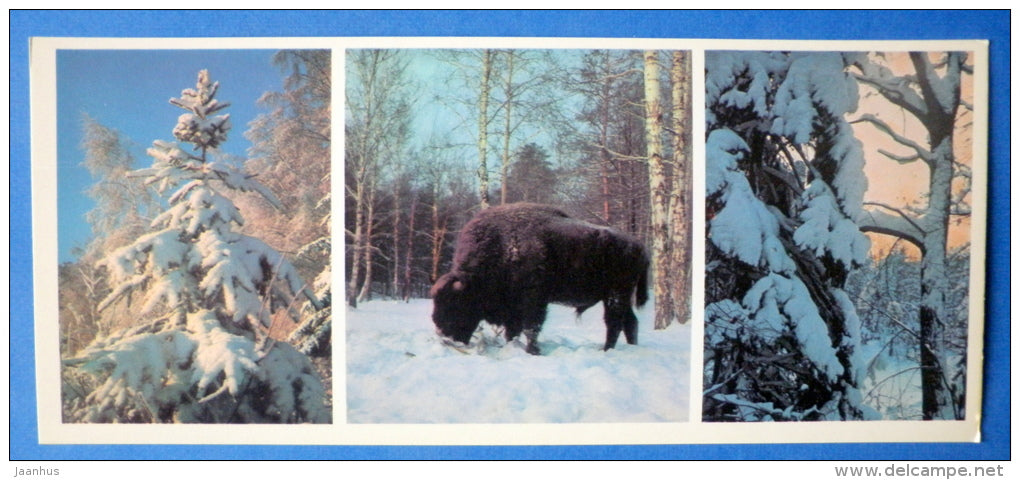 winter - bison - Moscow Oblast - Podmoskovye - 1977 - Russia USSR - unused - JH Postcards