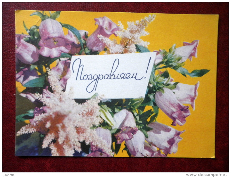 Greeting Card - Bellflowers - flowers - 1971 - Russia USSR - used - JH Postcards