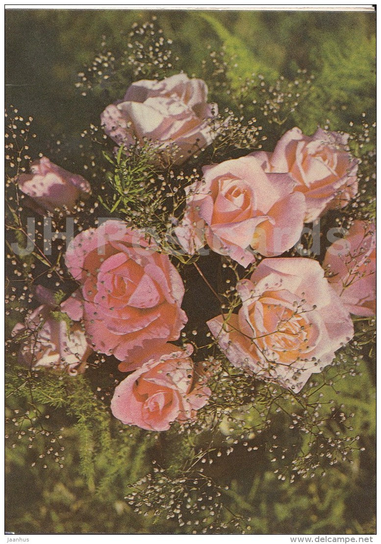 greeting card - pink roses - 1985 - Estonia USSR - used - JH Postcards