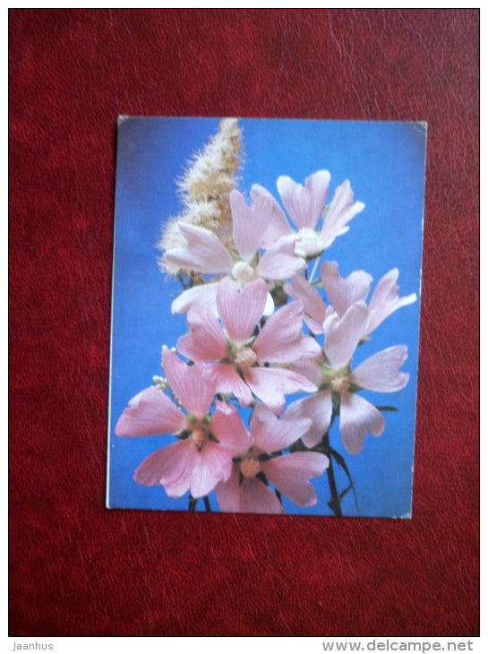 Mini Greeting card - pink flowers - 1989 - Russia USSR - used - JH Postcards