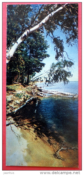 the coast of the lagoon of Kursiu marios  - Neringa - mini format card - 1970 - USSR Lithuania - unused - JH Postcards