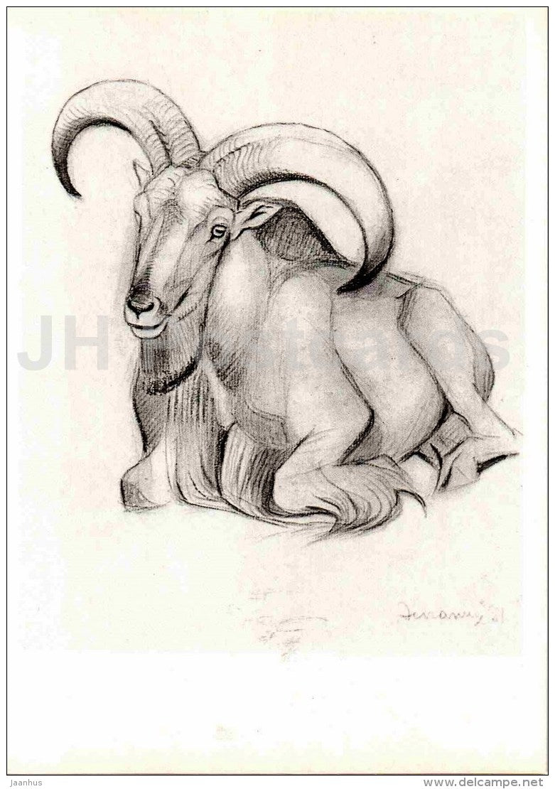 painting by Vasily Vatagin - Barbary sheep - Ammotragus lervia - Russian art - 1978 - Russia USSR - unused - JH Postcards