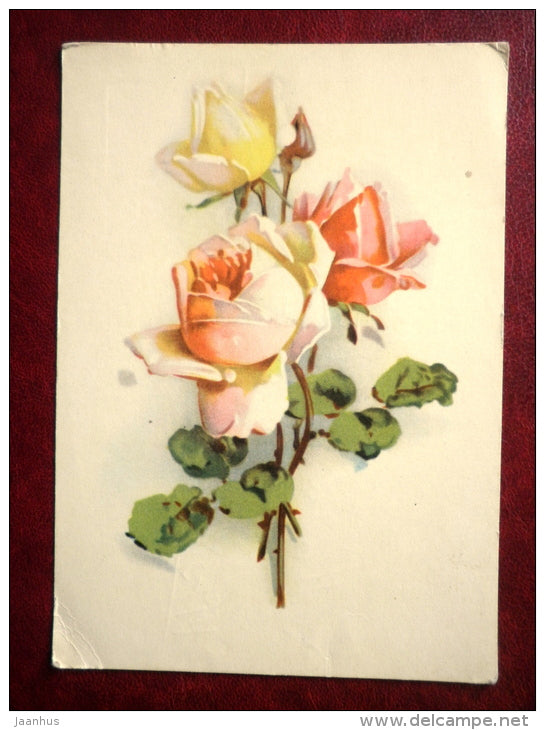 Greeting Card - pink roses - flowers - 1970 - Russia USSR - used - JH Postcards