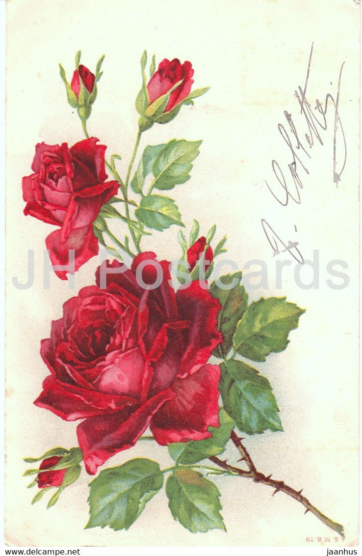 red roses - flowers - A & M B 19 - illustration - old postcard - France - used - JH Postcards