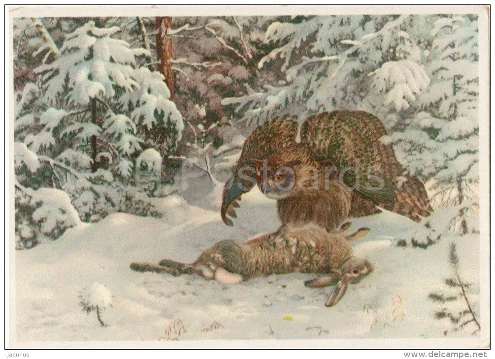 Owl - Hare - winter - 2832 - old postcard - Russia - unused - JH Postcards