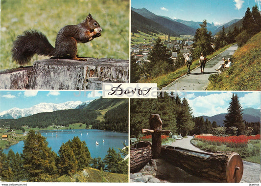 Davos 1560 m - Hohenpromenade gegen Tinzenhorn - Am Davosersee - Kurpark - squirrel - 891 - Switzerland - used - JH Postcards