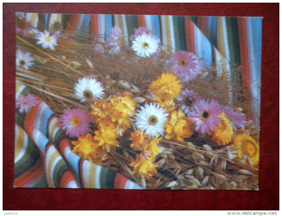 Greeting card - flowers - plants - 1989 - Russia USSR - used - JH Postcards