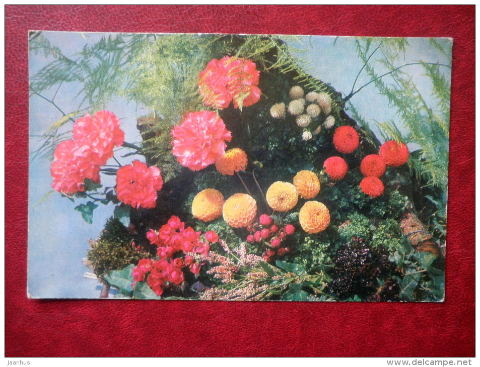 Greeting Card - composition - carnation - flowers - 1970 - Russia USSR - used - JH Postcards