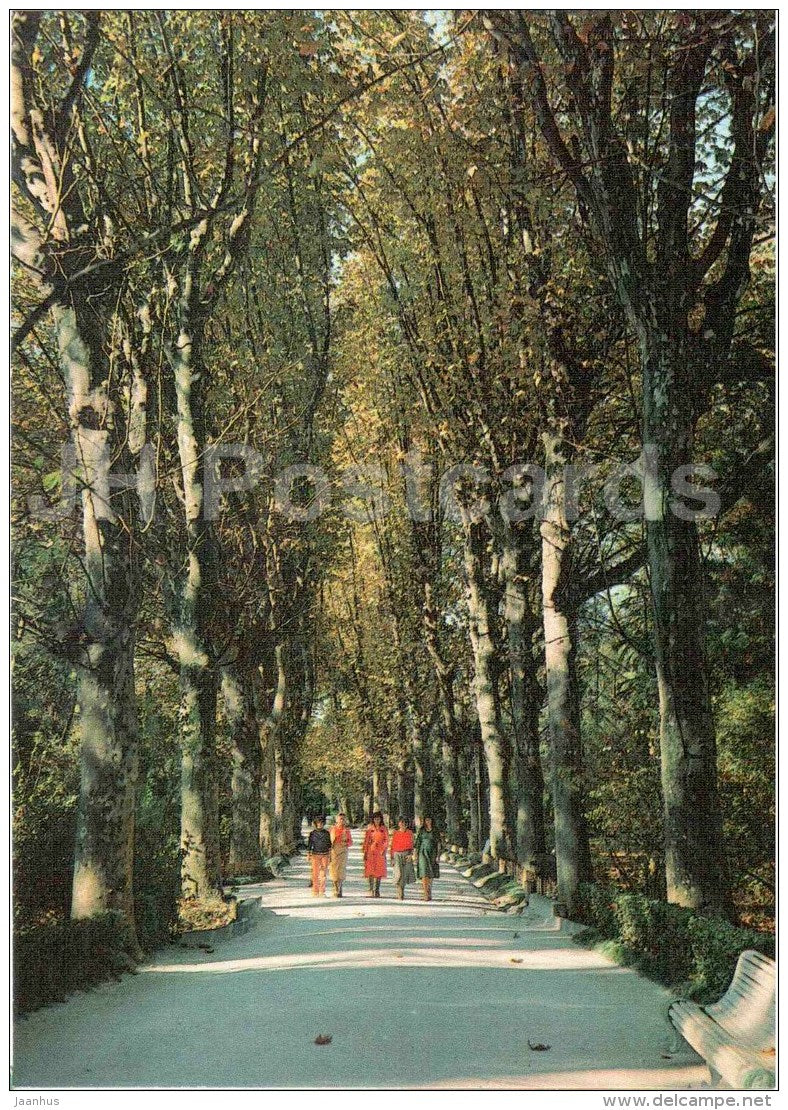 Platon alley - Gagra - Abkhazia - 1983 - Georgia USSR - unused - JH Postcards