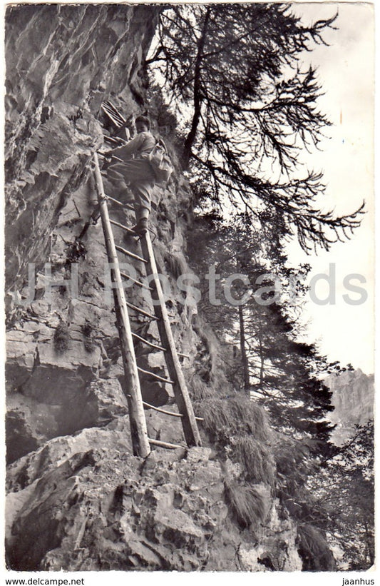 Albinenleitern am Felsenweg von Leukerbad nach Albinen - mountaineer - 10030 - Switzerland - 1965 - used - JH Postcards