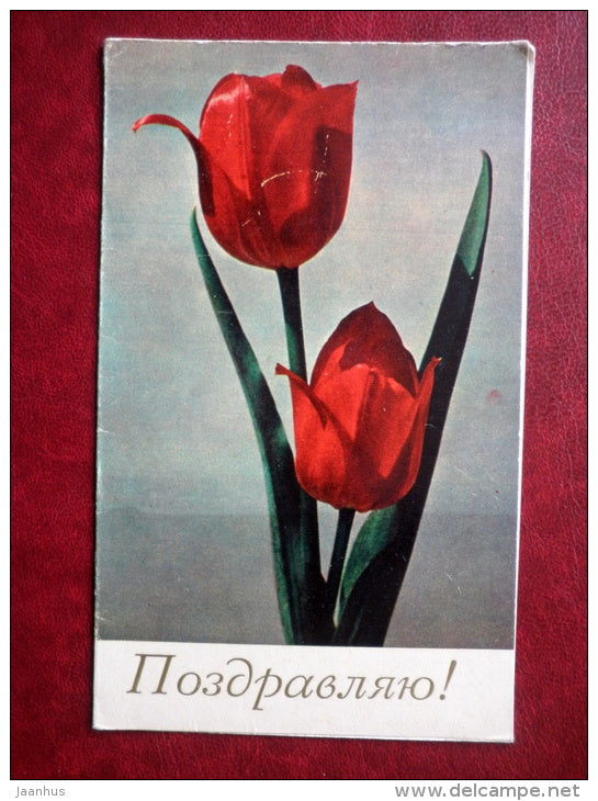 Greeting Card - red tulips - flowers - 1970 - Russia USSR - unused - JH Postcards