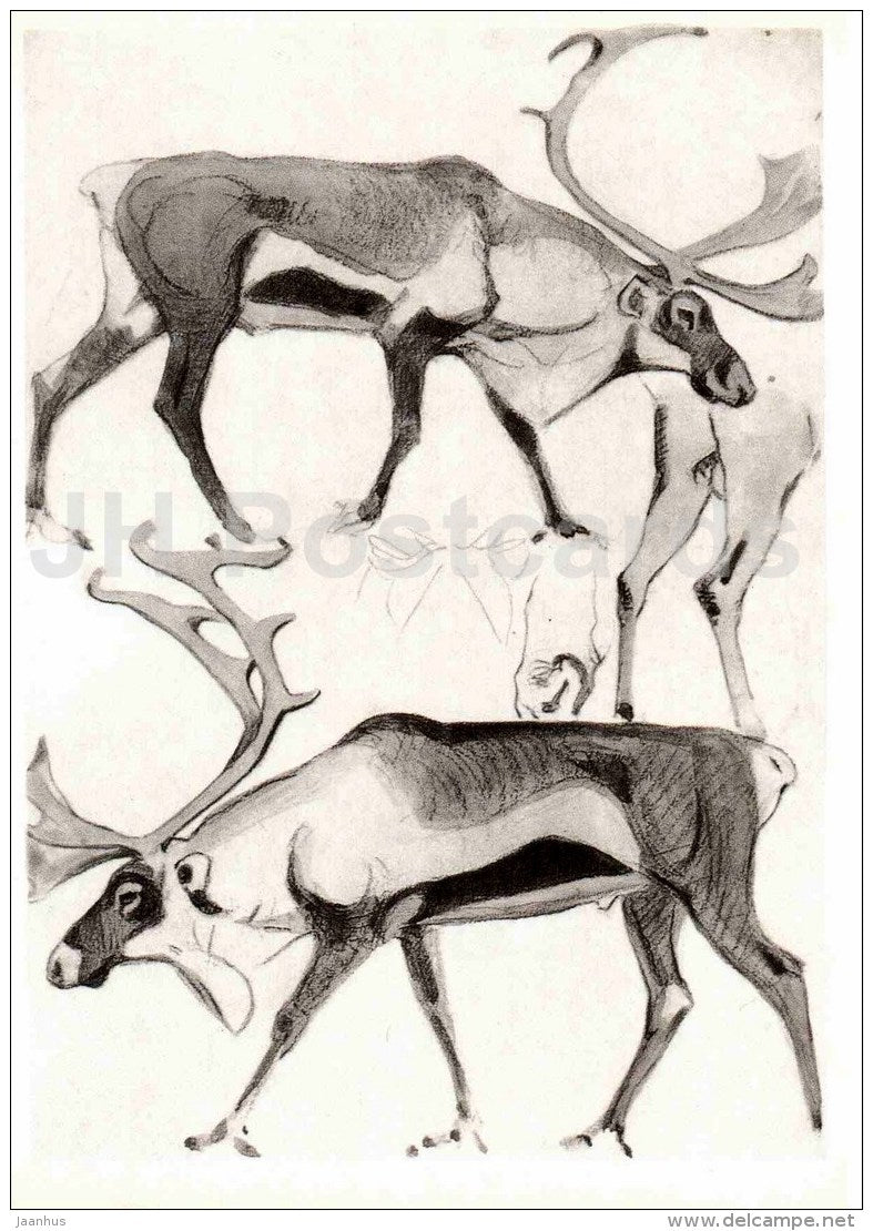 painting by Vasily Vatagin - Reindeer - Rangifer tarandus - Russian art - 1978 - Russia USSR - unused - JH Postcards