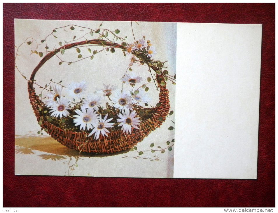 Greeting Card - daisies in a basket - flowers - 1970 - Russia USSR - used - JH Postcards