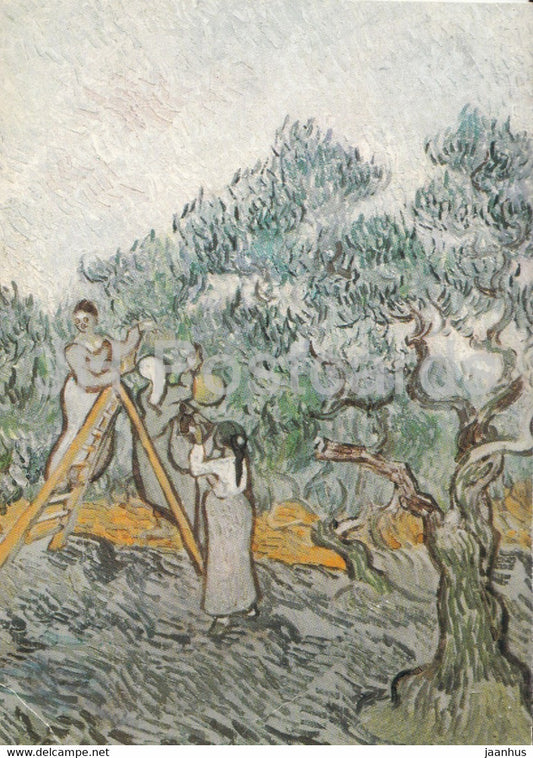 painting by Vincent van Gogh - Der Olivengarten - Olive Orchard - detail - Dutch art - 1992 - Germany - used - JH Postcards