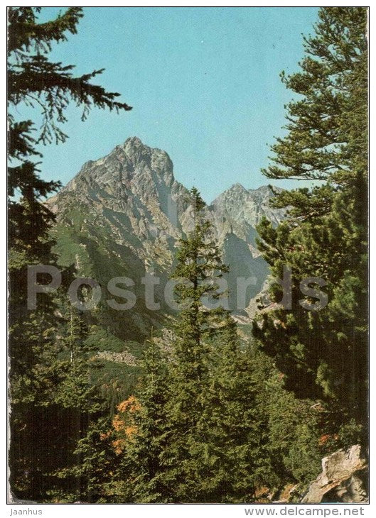 View from the Magistrala trail to the valley - Vysoke Tatra - High Tatras - Czechslovakia - Slovakia - used - JH Postcards