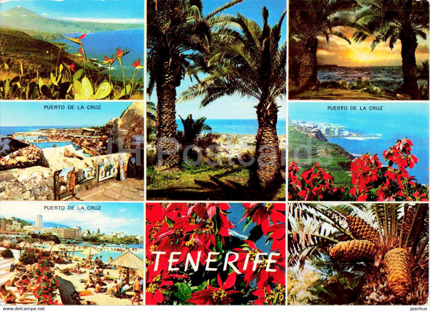 Tenerife - Puerto de la Cruz - multiview - 5908 - Spain - unused - JH Postcards