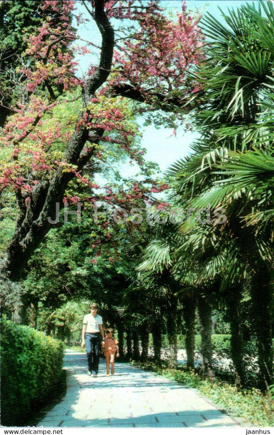 Gurzuf - sanatorium of the Ministry of Defense of the USSR - park - Crimea - 1983 - Ukraine USSR - unused - JH Postcards