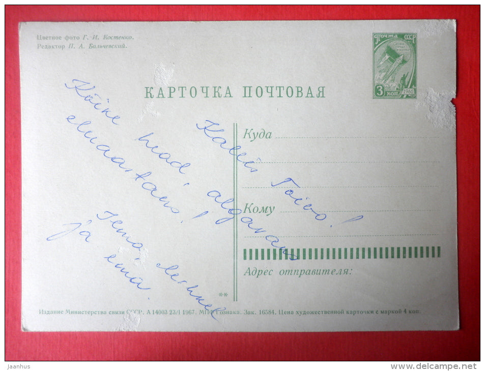 daisy - bellflowers - flowers - stationery card - 1967 - Russia USSR - used - JH Postcards