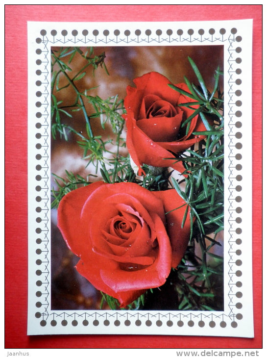 red roses - flowers - Czechoslovakia - unused - JH Postcards