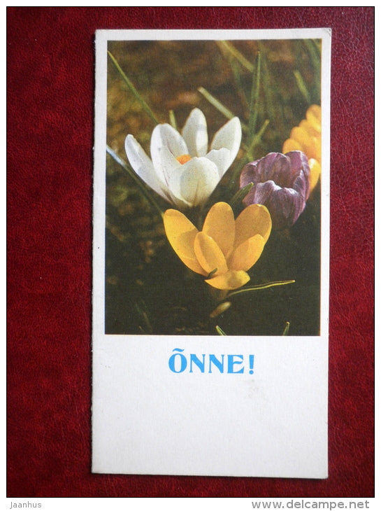 Greeting card - crocus - flowers - 1983 - Estonia USSR - used - JH Postcards