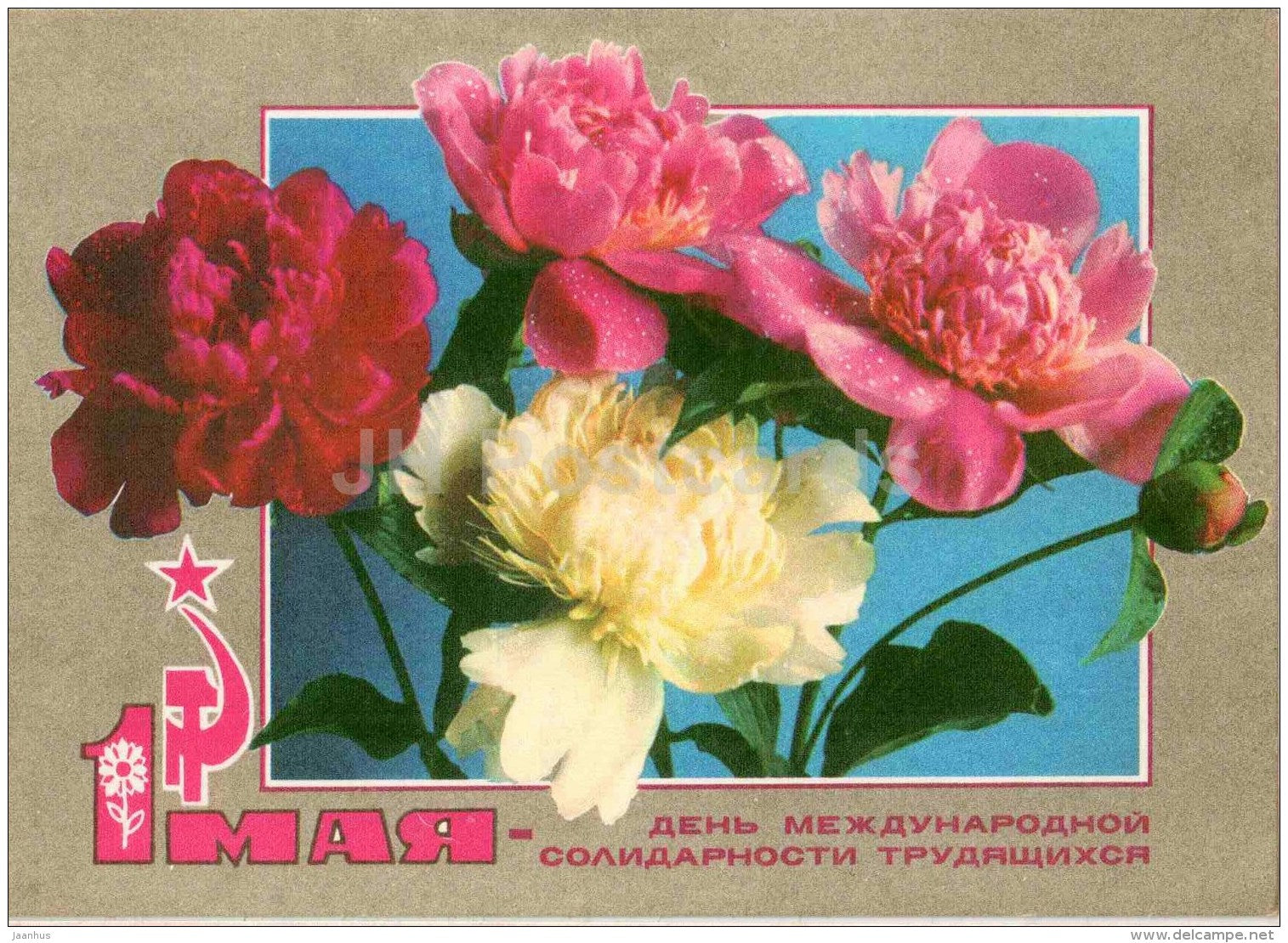 May 1 International Workers' Day greeting card - peony - flowers - hammer and sickle - 1972 - Russia USSR - used - JH Postcards