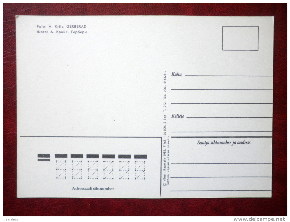 gerberas - flowers - 1982 - Estonia USSR - unused - JH Postcards