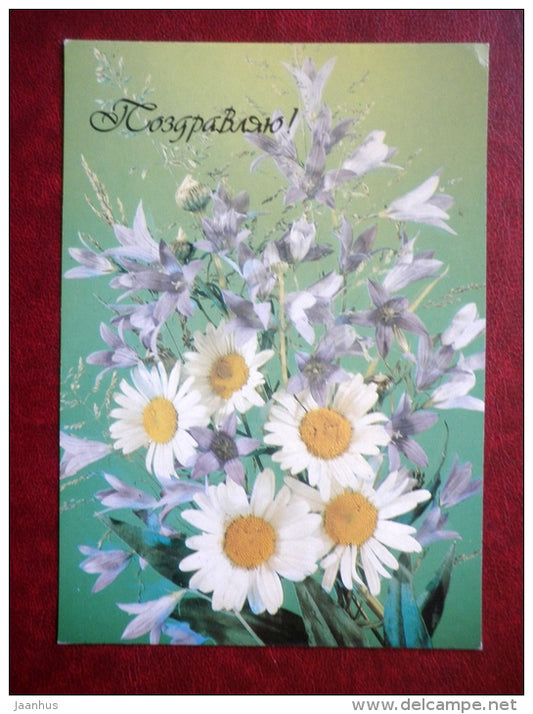 Greeting card - daisies - flowers - 1989 - Russia USSR - unused - JH Postcards