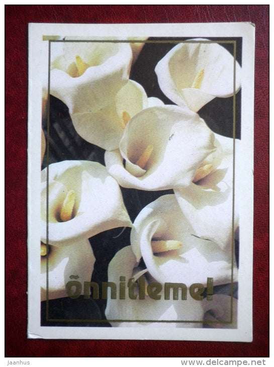 calla - flowers - 1982 - Estonia USSR - unused - JH Postcards