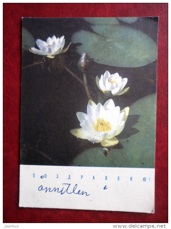 Greeting Card - water lily - flowers - 1969 - Russia USSR - used - JH Postcards