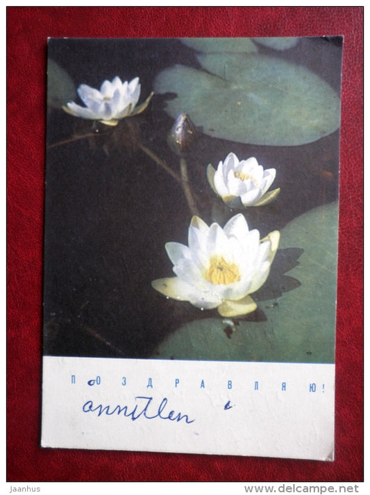 Greeting Card - water lily - flowers - 1969 - Russia USSR - used - JH Postcards