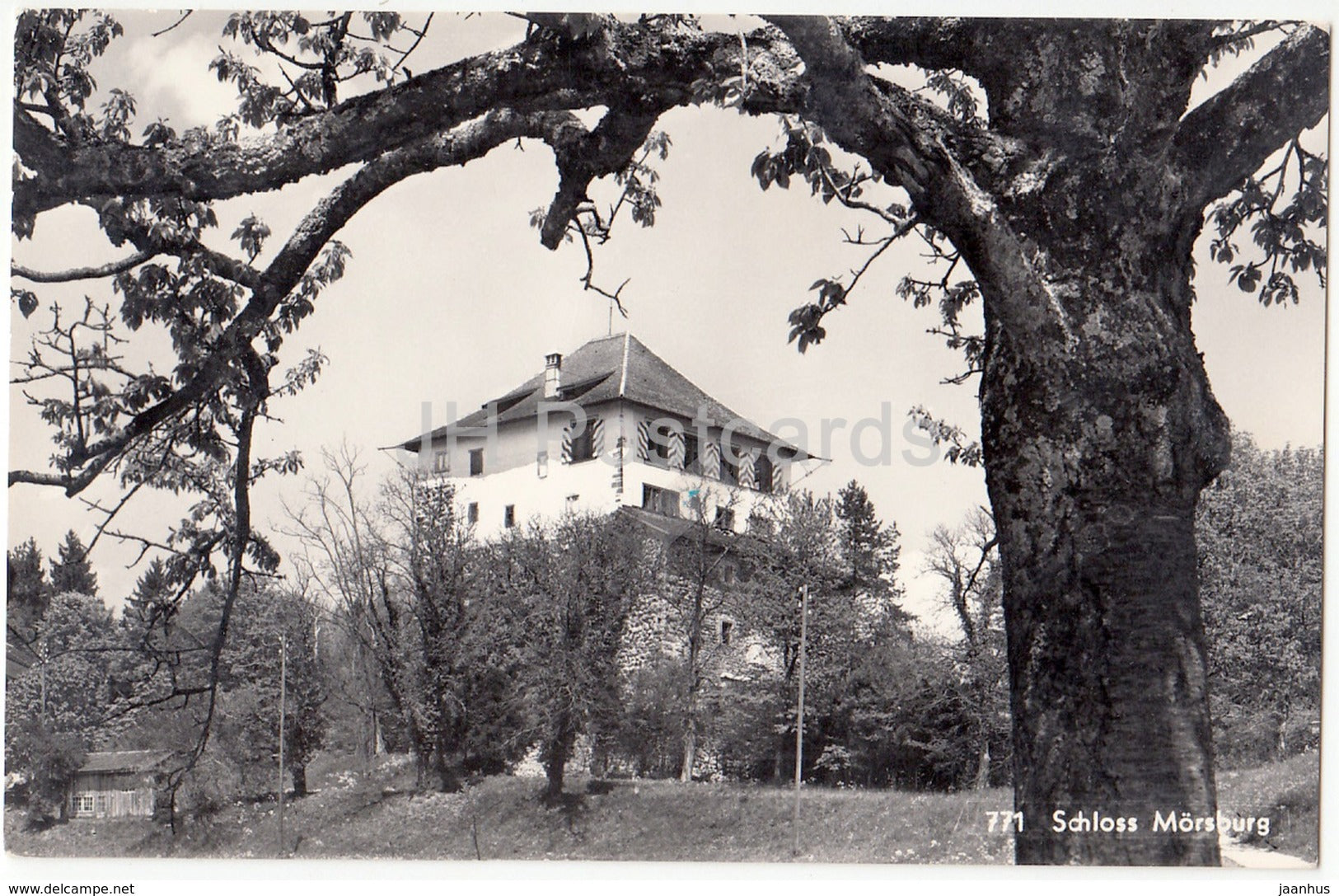 Schloss Morsburg - castle - 771 - Switzerland - old postcard - unused - JH Postcards