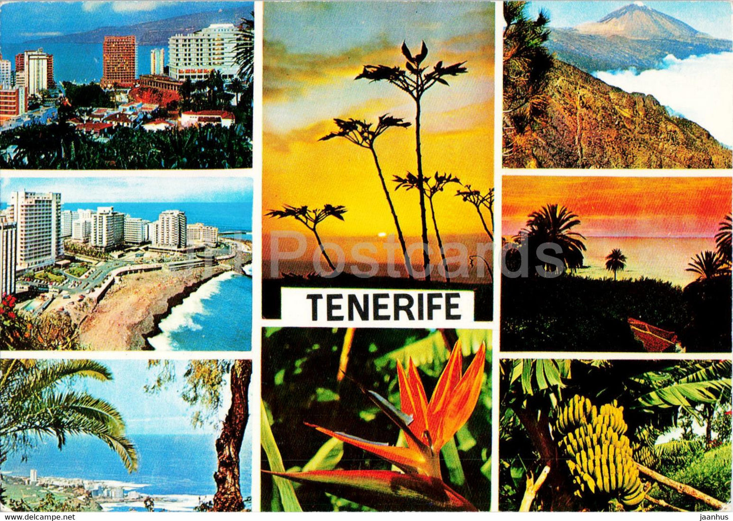 Tenerife - Vergel de Flores y belleza - multiview - 2972 - Spain - unused - JH Postcards