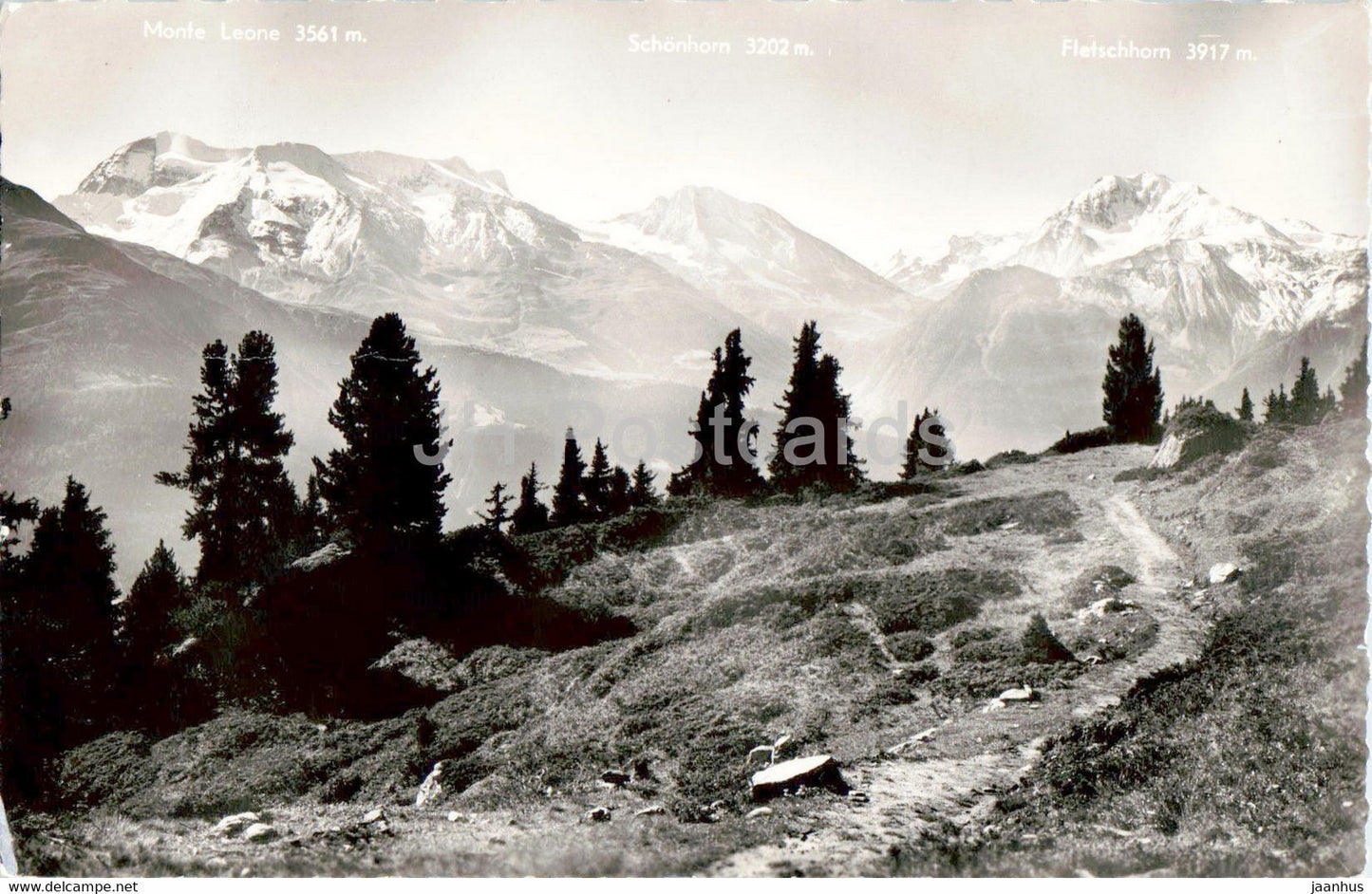 Riederalp - Blick auf Walliseralpen - 5364 - 1962 - Switzerland - used - JH Postcards