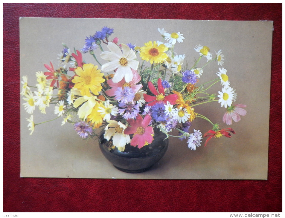 Greeting Card - daisies - cornflowers - flowers - 1983 - Russia USSR - used - JH Postcards