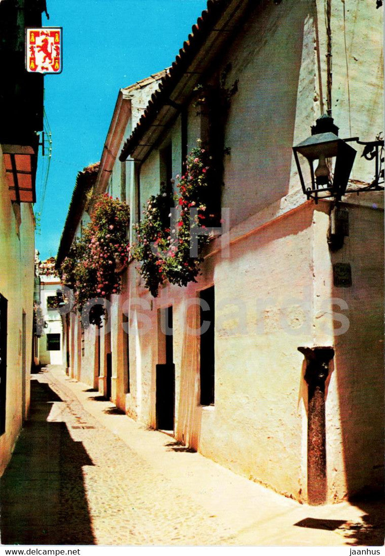 Cordoba - Calleja tipica - Velazquez Bosco - Typical lane - 753 - Spain - unused - JH Postcards