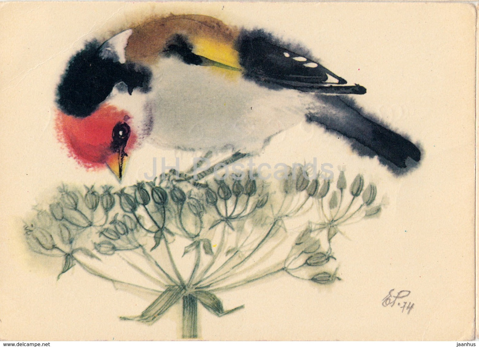 European goldfinch - Carduelis carduelis - birds - illustration by E. Pikk - 1975 - Estonia USSR - used - JH Postcards