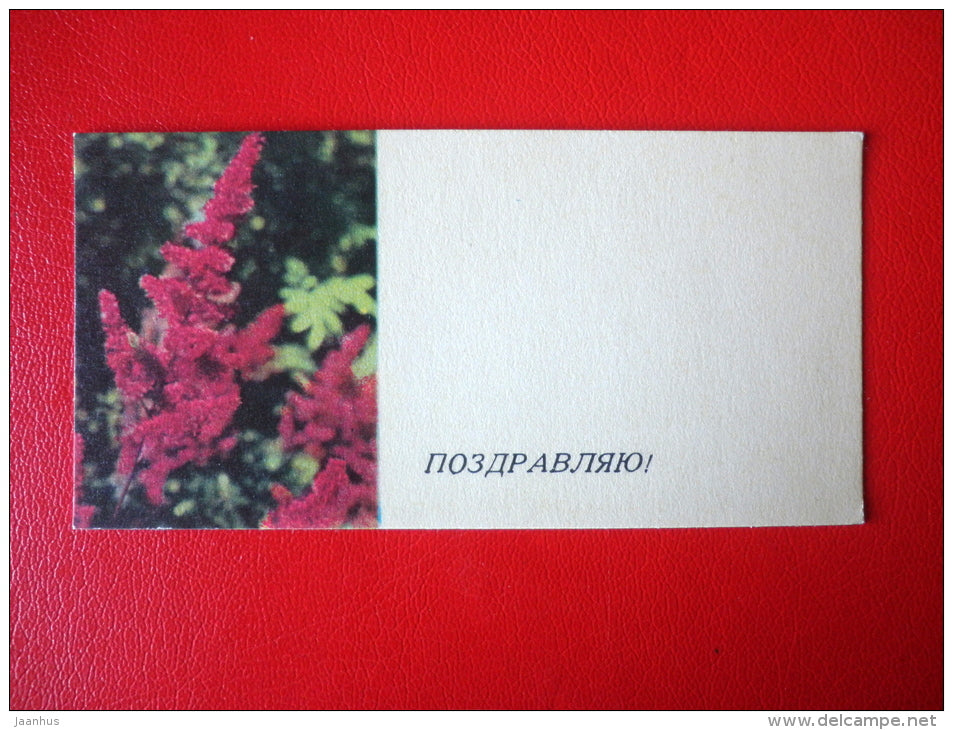 Greeting Card - Astilbe x Arendsii Fanal - flowers - mini format card - 1968 - Estonia USSR - used - JH Postcards