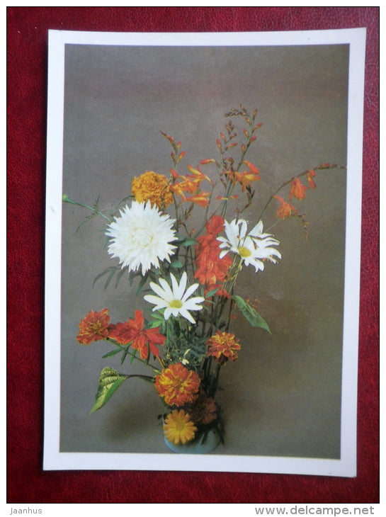 Greeting Card - flowers composition - daisies - plants - flowers - 1983 - Russia USSR - unused - JH Postcards