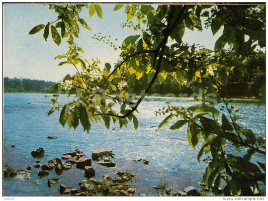 river Ogre in spring - Ogre - old postcard - Latvia USSR - unused - JH Postcards