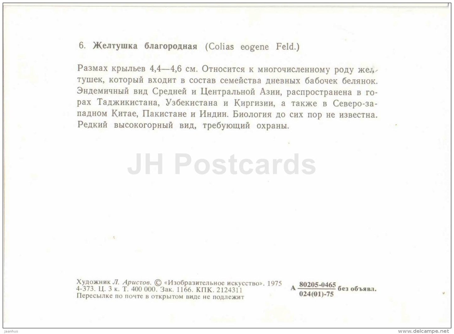 The Fiery Clouded Yellow - Colias eogene - butterfly - 1975 - Russia USSR - unused - JH Postcards