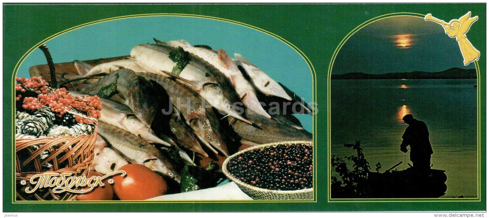 local fish - Tobolsk - 2005 - Russia - unused - JH Postcards