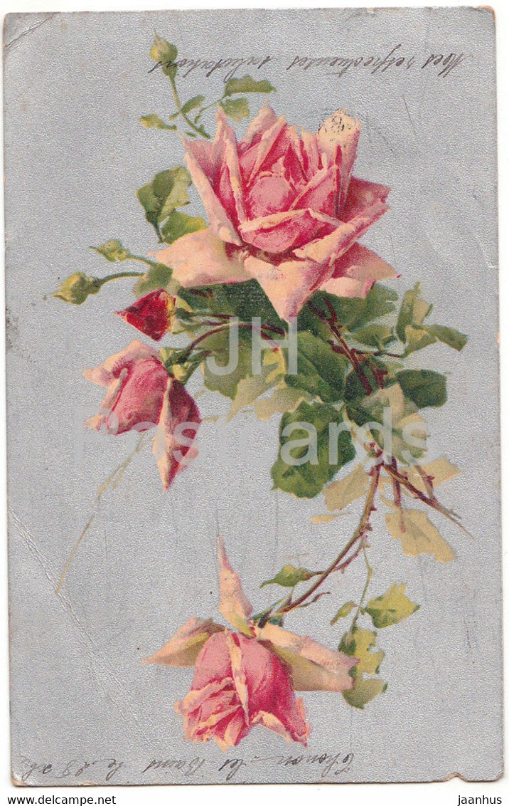 pink roses - flowers - illustration - old postcard - 1904 - France - used - JH Postcards