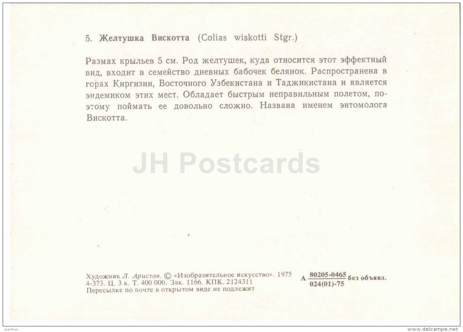 Colias wiskotti - butterfly - 1975 - Russia USSR - unused - JH Postcards