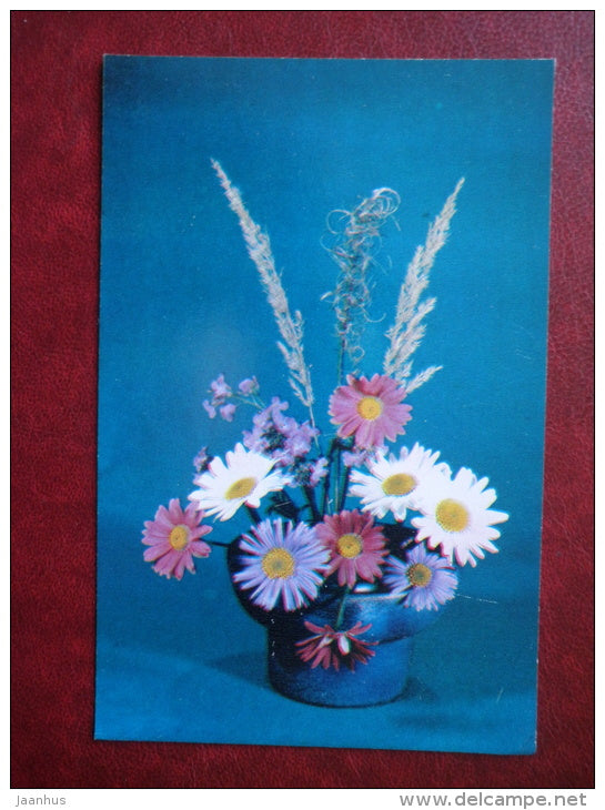 Greeting Card - daisies - plants - flowers - 1983 - Russia USSR - unused - JH Postcards