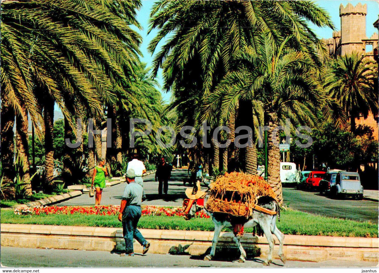 Palma de Mallorca - Paseo de Sagrera - animals - donkey - 82 - Spain - unused - JH Postcards