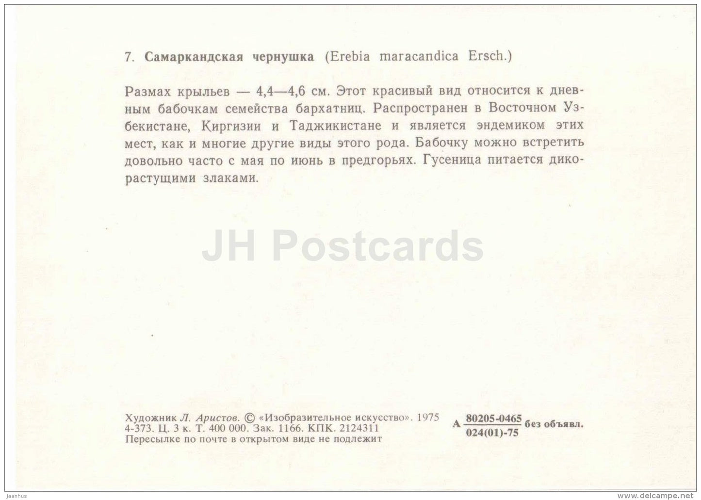 Erebia maracandica - butterfly - 1975 - Russia USSR - unused - JH Postcards