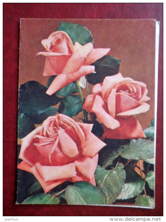 telegram - red roses - flowers - 1983 - Russia USSR - used - JH Postcards