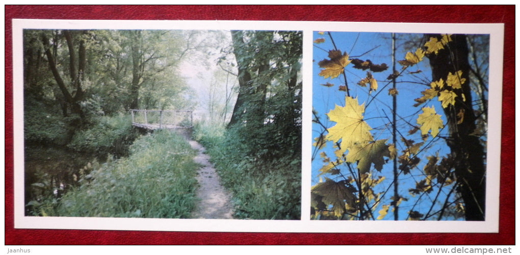 birch bridge on the Lower Pond - maple - Yasnaya Polyana - Museum-Estate of Leo Tolstoy - 1976 - Russia USSR - unused - JH Postcards