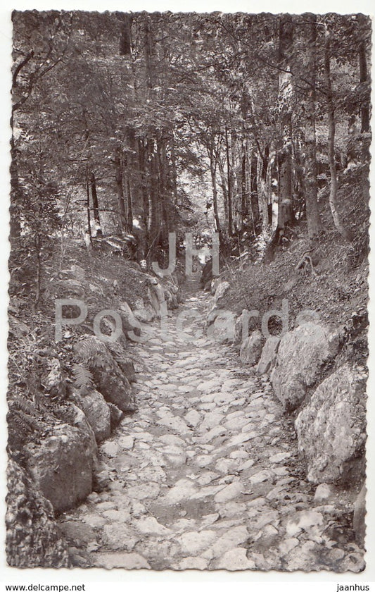 Hohle Gasse - Kussnacht - Eigentum der Schweizer Jugend - 3593 - Switzerland - 1939 - used - JH Postcards