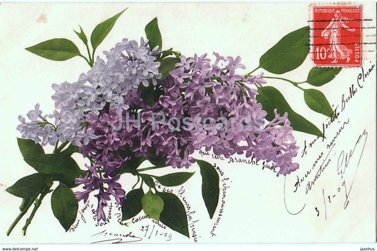 flowers - lilac - old postcard - 1909 - Germany - used - JH Postcards